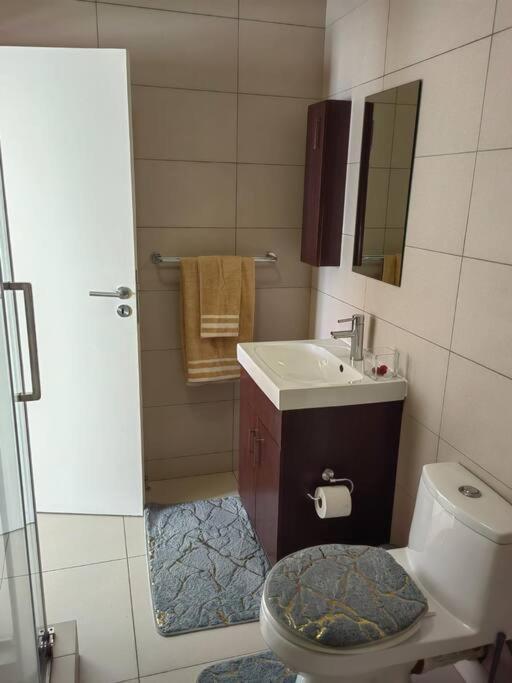 Classy And Cosy Apt - Dainfern 桑顿 外观 照片